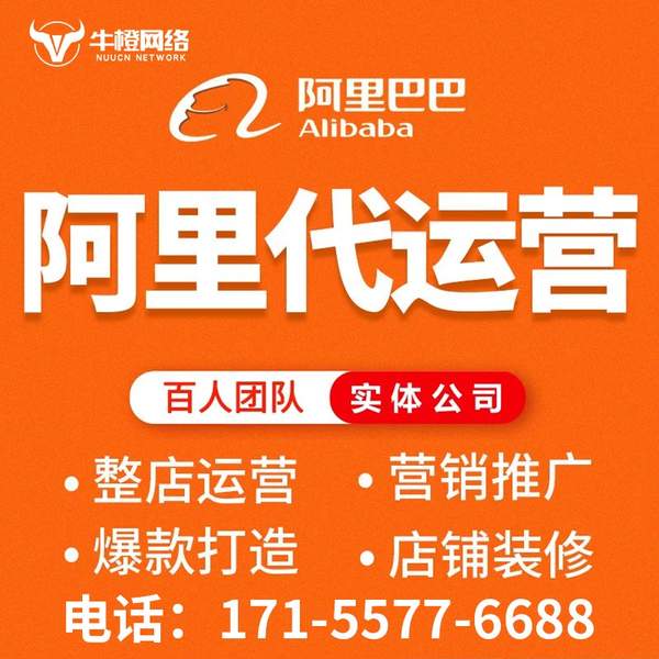 黄南电商代运营