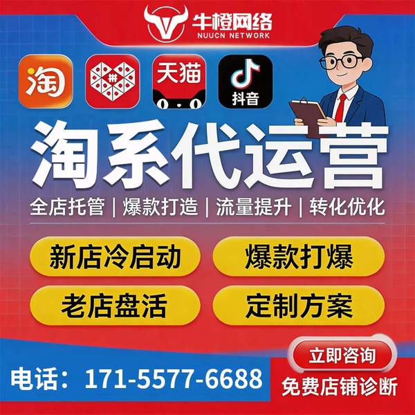 黄南电商代运营