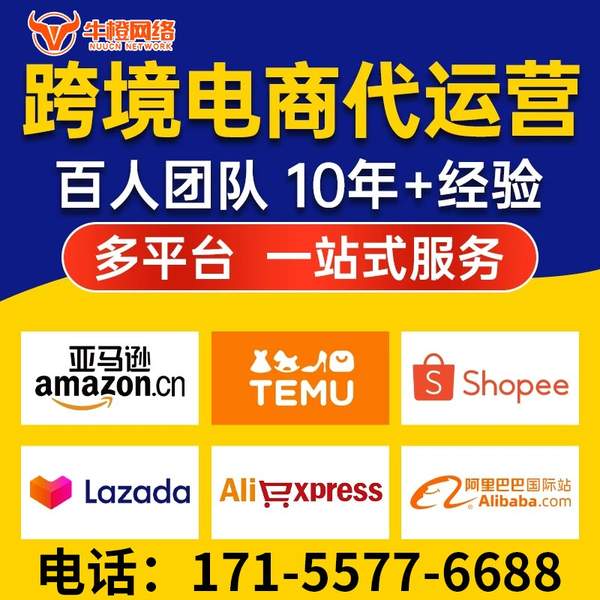 黄南电商代运营
