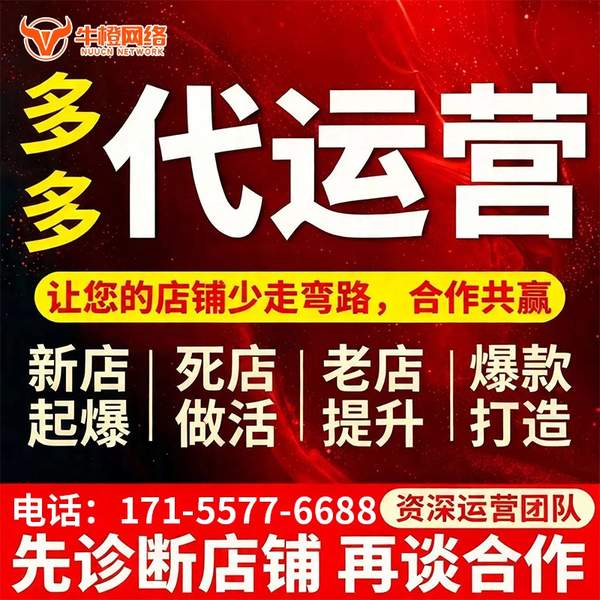 黄南电商代运营