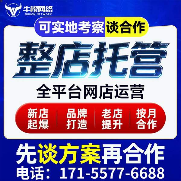 黄南电商代运营
