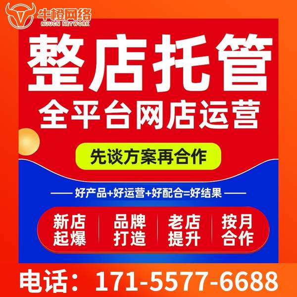 黄南电商代运营