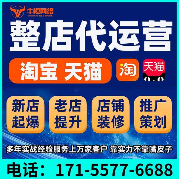 黄南电商代运营