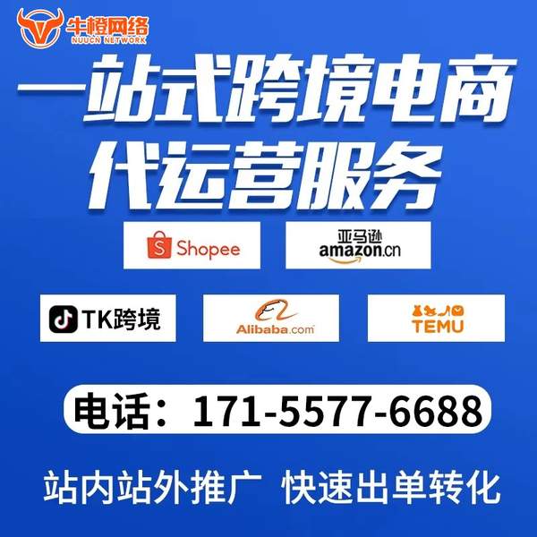 黄南电商代运营