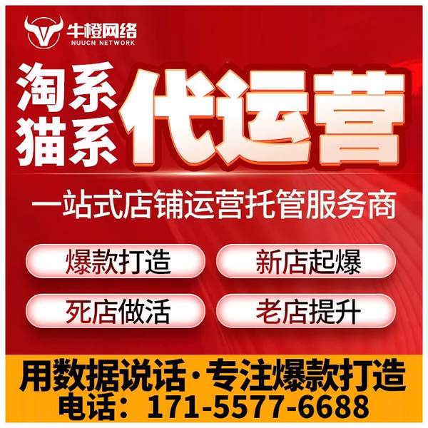 黄南电商代运营